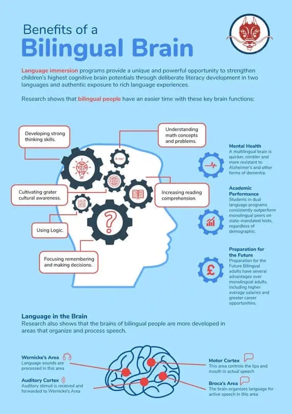 Bilingual-Brain-01 (1)