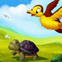 tortoise-and-the-duck