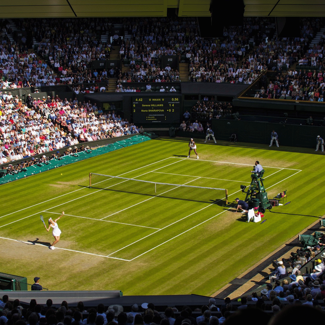 wimbledon tennis