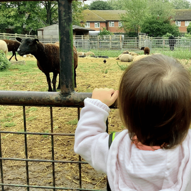 CW_Surrey Dock Farm